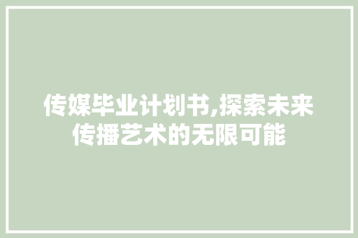 传媒毕业计划书,探索未来传播艺术的无限可能
