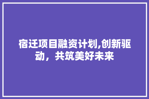 宿迁项目融资计划,创新驱动，共筑美好未来