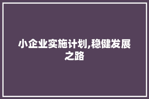 小企业实施计划,稳健发展之路