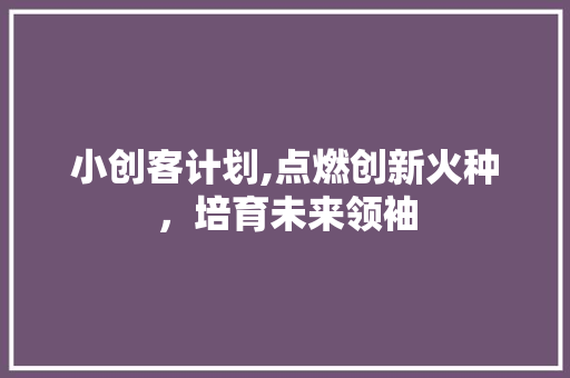 小创客计划,点燃创新火种，培育未来领袖