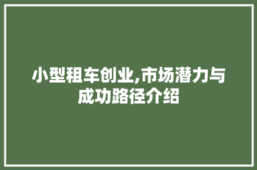 小型租车创业,市场潜力与成功路径介绍