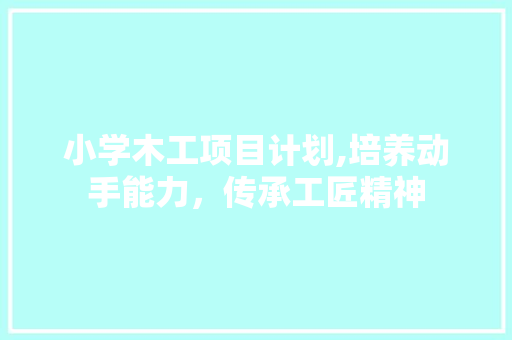 小学木工项目计划,培养动手能力，传承工匠精神