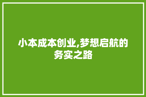 小本成本创业,梦想启航的务实之路