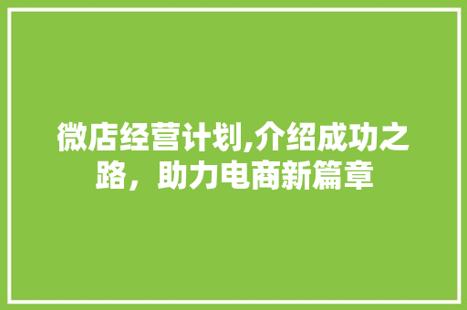微店经营计划,介绍成功之路，助力电商新篇章