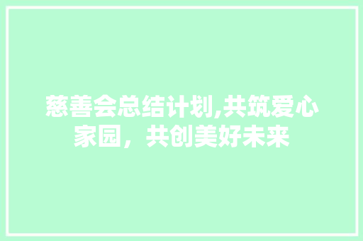 慈善会总结计划,共筑爱心家园，共创美好未来