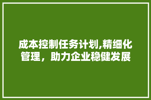 成本控制任务计划,精细化管理，助力企业稳健发展