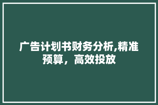 广告计划书财务分析,精准预算，高效投放