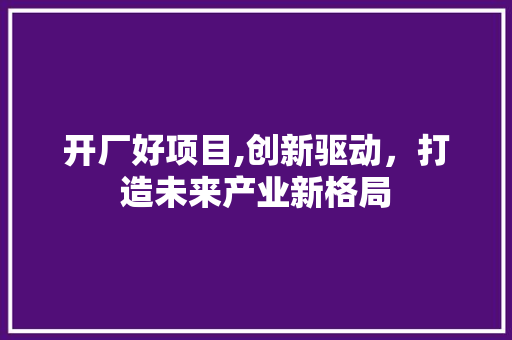 开厂好项目,创新驱动，打造未来产业新格局