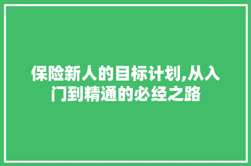 保险新人的目标计划,从入门到精通的必经之路