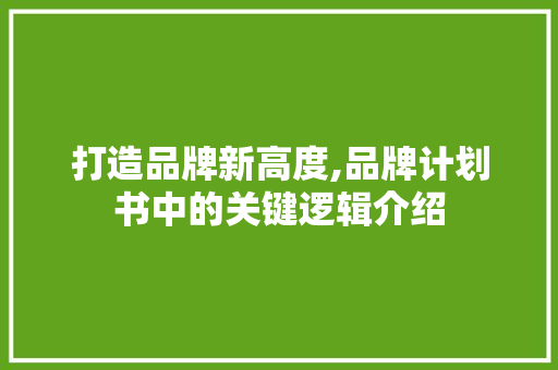 打造品牌新高度,品牌计划书中的关键逻辑介绍