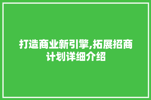 打造商业新引擎,拓展招商计划详细介绍