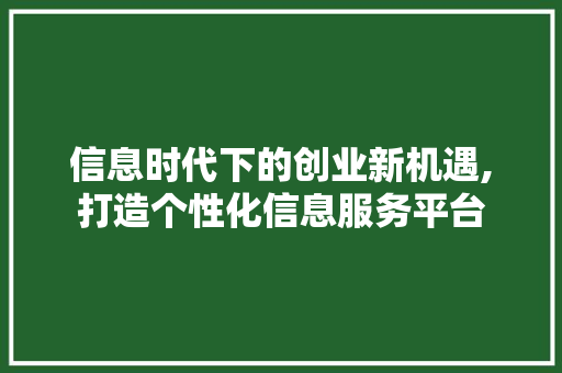 信息时代下的创业新机遇,打造个性化信息服务平台