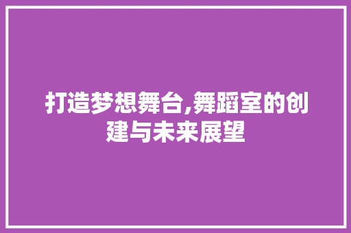 打造梦想舞台,舞蹈室的创建与未来展望