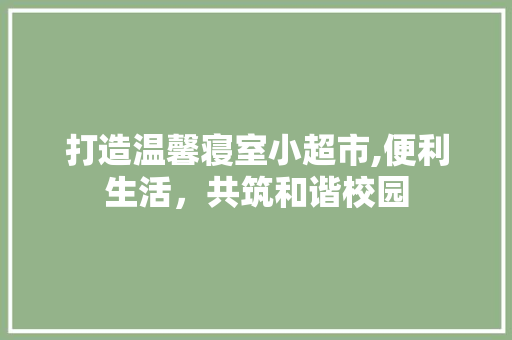 打造温馨寝室小超市,便利生活，共筑和谐校园