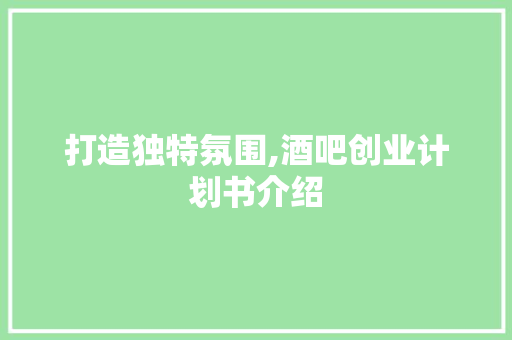 打造独特氛围,酒吧创业计划书介绍