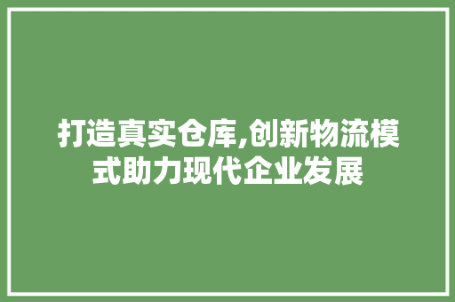 打造真实仓库,创新物流模式助力现代企业发展