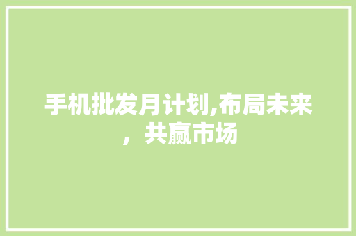 手机批发月计划,布局未来，共赢市场