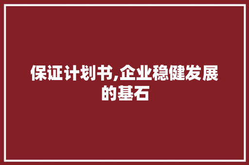 保证计划书,企业稳健发展的基石
