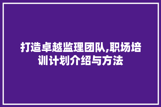 打造卓越监理团队,职场培训计划介绍与方法