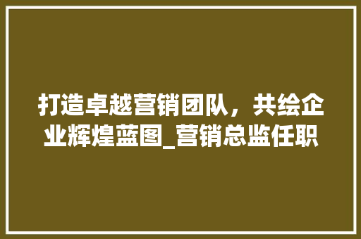 打造卓越营销团队，共绘企业辉煌蓝图_营销总监任职计划详细介绍