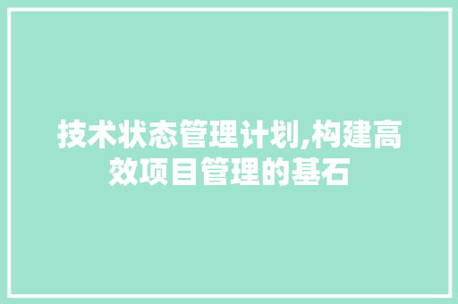 技术状态管理计划,构建高效项目管理的基石