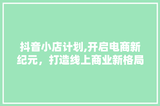 抖音小店计划,开启电商新纪元，打造线上商业新格局