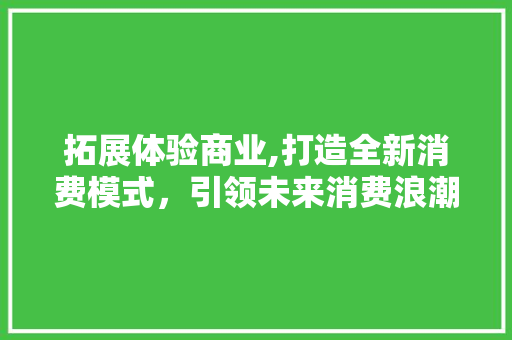 拓展体验商业,打造全新消费模式，引领未来消费浪潮
