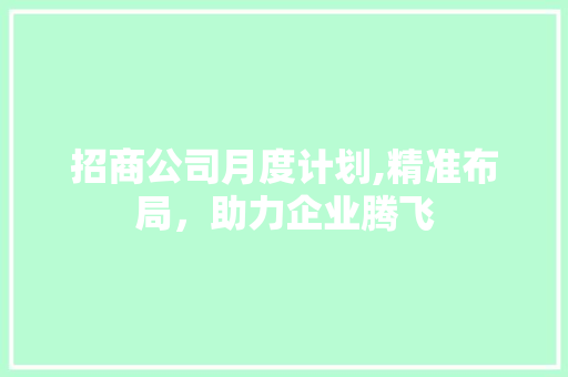 招商公司月度计划,精准布局，助力企业腾飞