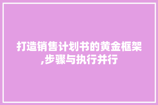 打造销售计划书的黄金框架,步骤与执行并行