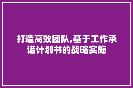 打造高效团队,基于工作承诺计划书的战略实施