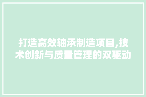 打造高效轴承制造项目,技术创新与质量管理的双驱动