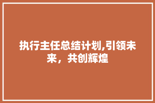 执行主任总结计划,引领未来，共创辉煌