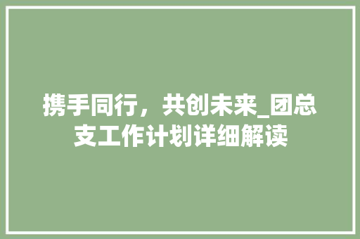 携手同行，共创未来_团总支工作计划详细解读