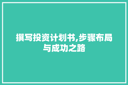 撰写投资计划书,步骤布局与成功之路