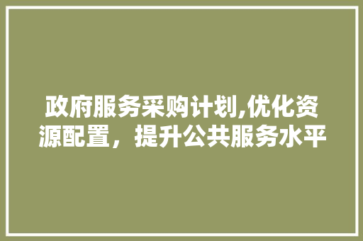 政府服务采购计划,优化资源配置，提升公共服务水平