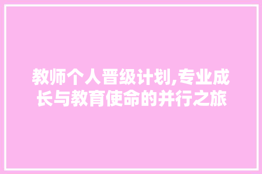 教师个人晋级计划,专业成长与教育使命的并行之旅