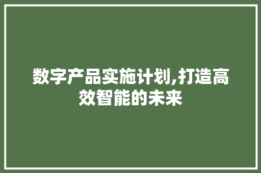 数字产品实施计划,打造高效智能的未来