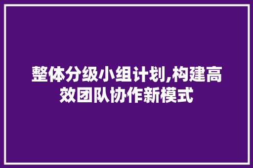 整体分级小组计划,构建高效团队协作新模式