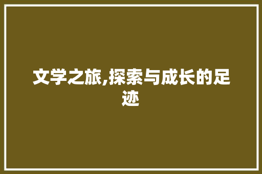 文学之旅,探索与成长的足迹