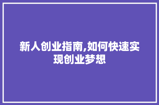 新人创业指南,如何快速实现创业梦想
