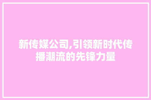 新传媒公司,引领新时代传播潮流的先锋力量