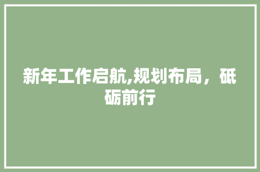 新年工作启航,规划布局，砥砺前行