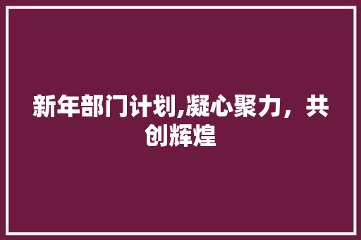 新年部门计划,凝心聚力，共创辉煌