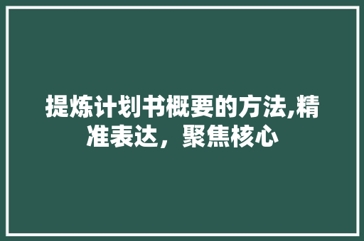 提炼计划书概要的方法,精准表达，聚焦核心