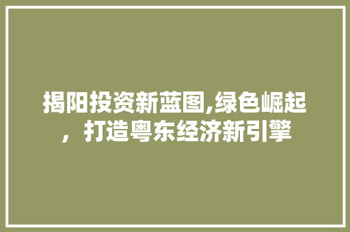 揭阳投资新蓝图,绿色崛起，打造粤东经济新引擎
