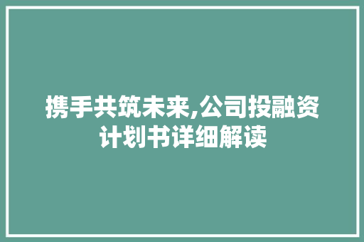 携手共筑未来,公司投融资计划书详细解读