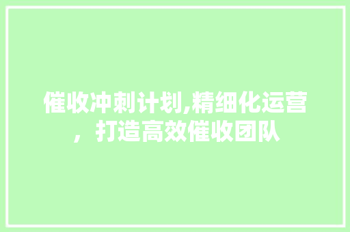 催收冲刺计划,精细化运营，打造高效催收团队