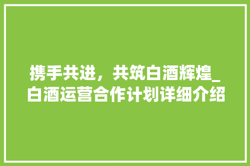携手共进，共筑白酒辉煌_白酒运营合作计划详细介绍