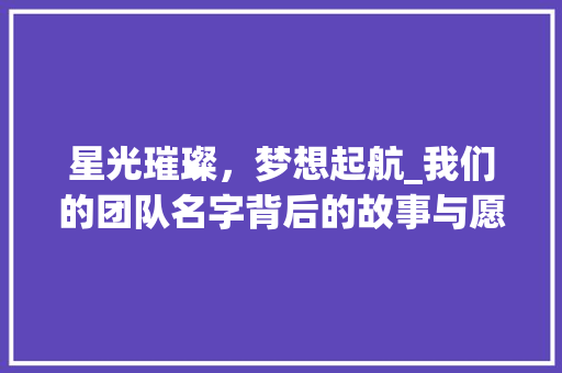 星光璀璨，梦想起航_我们的团队名字背后的故事与愿景