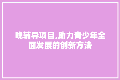 晚辅导项目,助力青少年全面发展的创新方法